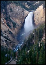 Canyon and Lower Falls of the Yellowstone river. Yellowstone National Park, Wyoming, USA.