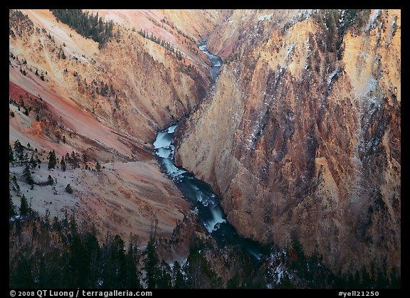 River and Walls of the Grand Canyon of Yellowstone, dusk. Yellowstone National Park, Wyoming, USA.