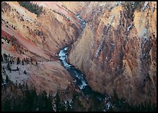 River and Walls of the Grand Canyon of Yellowstone, dusk. Yellowstone National Park, Wyoming, USA. (color)