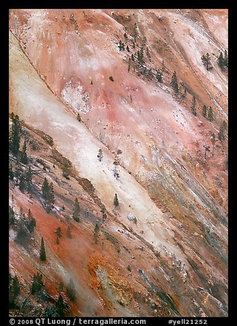 Colorful wall of the Grand Canyon of Yellowstone. Yellowstone National Park, Wyoming, USA.