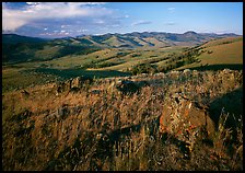 Rocks and grasses on Specimen ridge, late afternoon. Yellowstone National Park ( color)