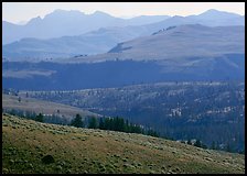 Absaroka Range from Dunraven Pass, early morning. Yellowstone National Park, Wyoming, USA.