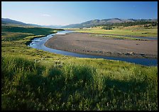 Meadow and river in wide Lamar Valley. Yellowstone National Park, Wyoming, USA. (color)