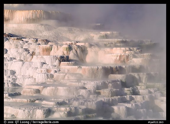 Minerva travertine terraces at Mammoth Hot Springs. Yellowstone National Park (color)