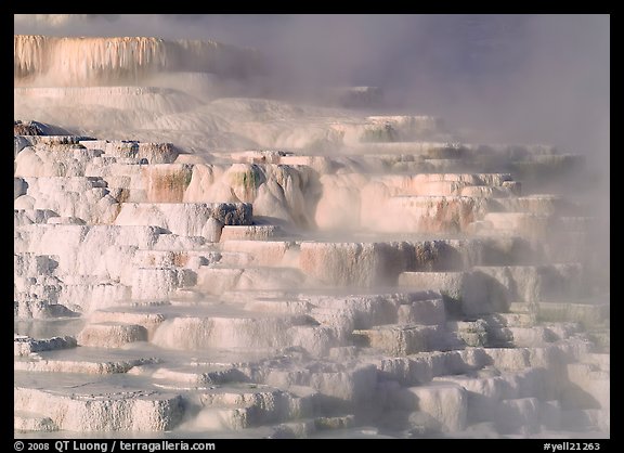 Minerva travertine terraces, Mammoth Hot Springs. Yellowstone National Park, Wyoming, USA.