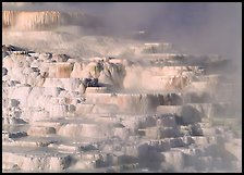 Minerva travertine terraces, Mammoth Hot Springs. Yellowstone National Park ( color)