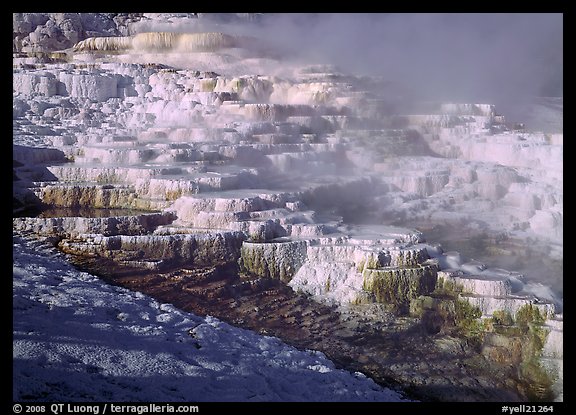 Minerva travertine terraces and steam, Mammoth Hot Springs. Yellowstone National Park, Wyoming, USA.