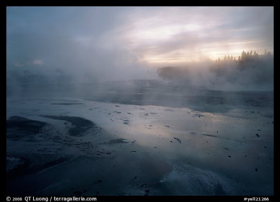 Steam in Norris Geyser Basin at dawn. Yellowstone National Park, Wyoming, USA.