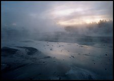 Steam in Norris Geyser Basin at dawn. Yellowstone National Park ( color)