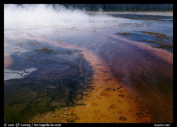 Great prismatic springs, Midway geyser basin. Yellowstone National Park (color)