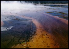 Great prismatic springs, Midway geyser basin. Yellowstone National Park, Wyoming, USA.