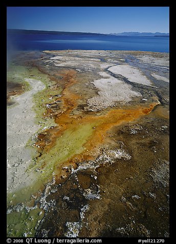 West Thumb geyser basin and Yellowstone lake. Yellowstone National Park, Wyoming, USA.