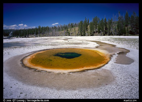 Thermal pool, upper Geyser Basin. Yellowstone National Park, Wyoming, USA.