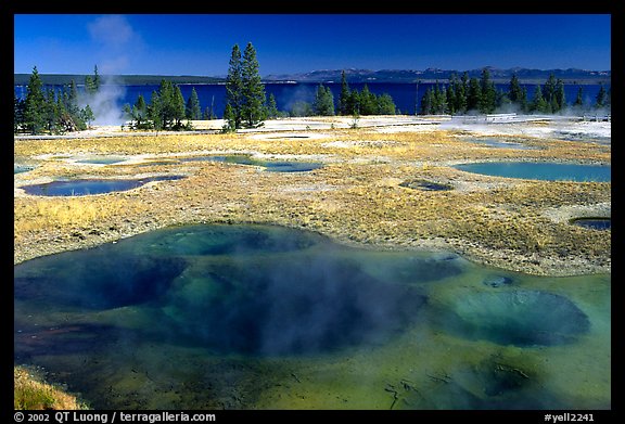 West Thumb Geyser Basin. Yellowstone National Park, Wyoming, USA.