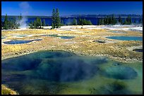 West Thumb Geyser Basin. Yellowstone National Park, Wyoming, USA.