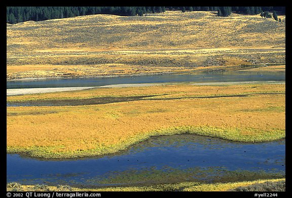 Yellowstone River and meadow in fall. Yellowstone National Park (color)