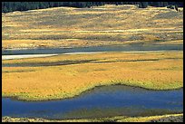 Yellowstone River and meadow in fall. Yellowstone National Park, Wyoming, USA.