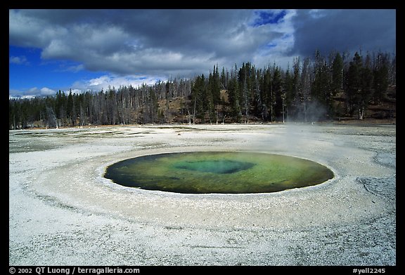 Chromatic Pool in Upper Geyser Basin. Yellowstone National Park, Wyoming, USA.