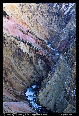 Yellowstone River, Grand Canyon of Yellowstone. Yellowstone National Park, Wyoming, USA.