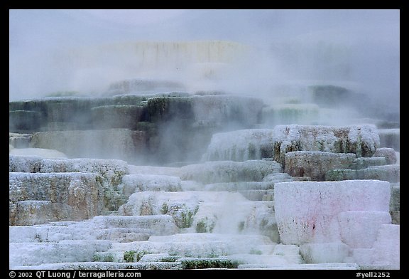 Travertine terraces at Mammoth Hot Springs. Yellowstone National Park (color)