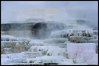 Travertine terraces at Mammoth Hot Springs. Yellowstone National Park, Wyoming, USA. (color)