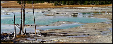 Thermal pond and dead trees. Yellowstone National Park, Wyoming, USA.