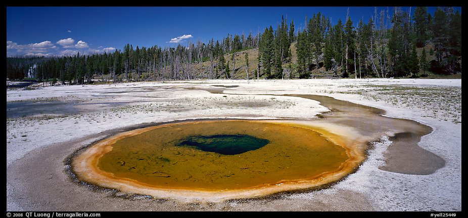 Thermal landscape with pool. Yellowstone National Park, Wyoming, USA.