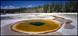 Thermal landscape with pool. Yellowstone National Park, Wyoming, USA.