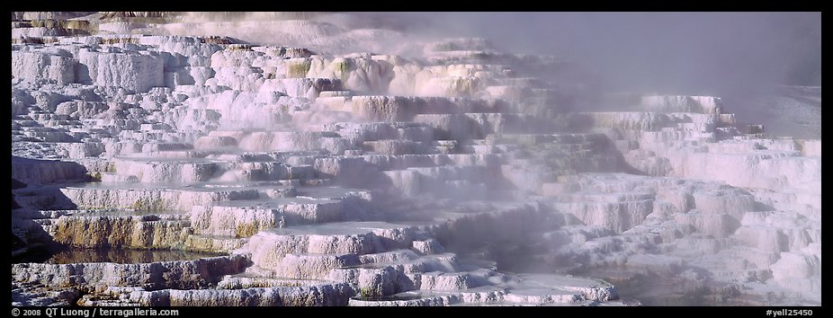 Thermal travertine terraces. Yellowstone National Park, Wyoming, USA.