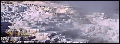 Thermal travertine terraces. Yellowstone National Park, Wyoming, USA.