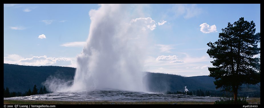 Old Faithful geyser. Yellowstone National Park, Wyoming, USA.