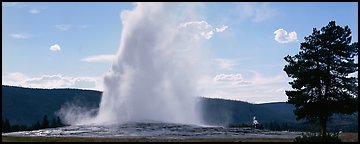 Old Faithful geyser. Yellowstone National Park, Wyoming, USA.