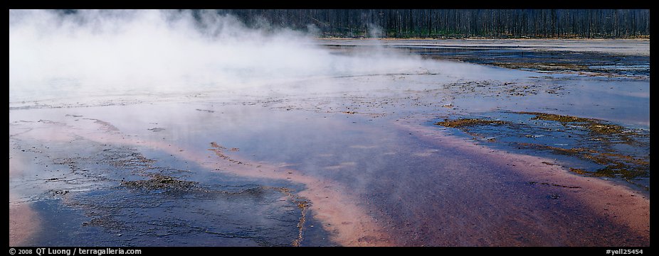 Steam rising from multi-colored thermal springs. Yellowstone National Park (color)