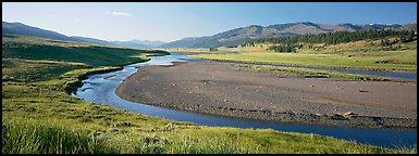 Wide valley and stream in summer. Yellowstone National Park, Wyoming, USA.