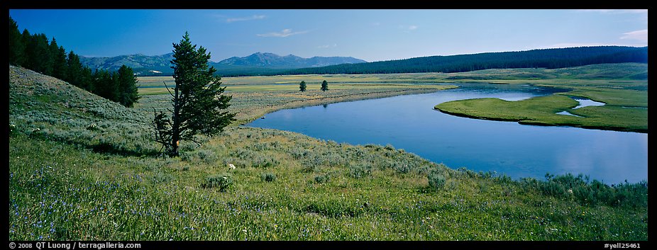 River and verdant meadows. Yellowstone National Park, Wyoming, USA.