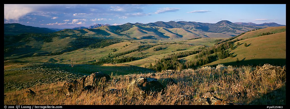 Hills in summer. Yellowstone National Park, Wyoming, USA.