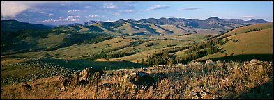 Hills in summer. Yellowstone National Park, Wyoming, USA.