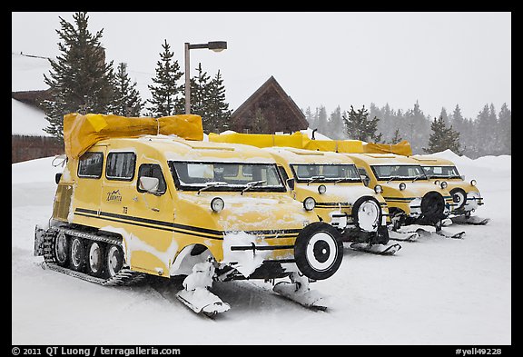 Snow coaches parked at Flagg Ranch. Yellowstone National Park (color)