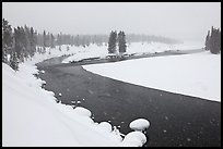 Lewis River in winter. Yellowstone National Park, Wyoming, USA.