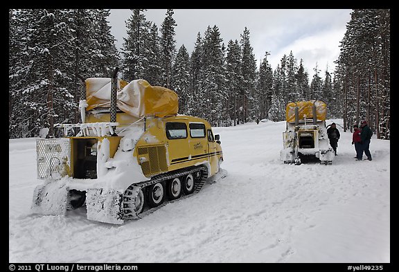 Snowcoaches on snow-covered road. Yellowstone National Park, Wyoming, USA.