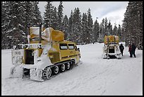 Snowcoaches on snow-covered road. Yellowstone National Park, Wyoming, USA.