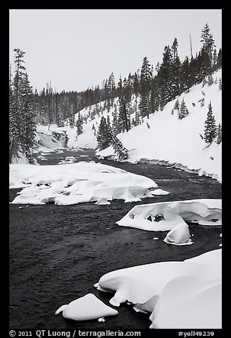 Lewis River and falls, winter. Yellowstone National Park, Wyoming, USA.