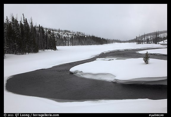 Lewis River valley in winter. Yellowstone National Park (color)