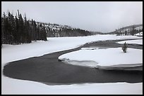Lewis River valley in winter. Yellowstone National Park, Wyoming, USA.