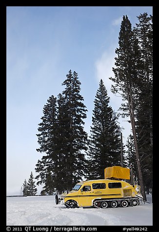 Snowcoach and trees. Yellowstone National Park, Wyoming, USA.