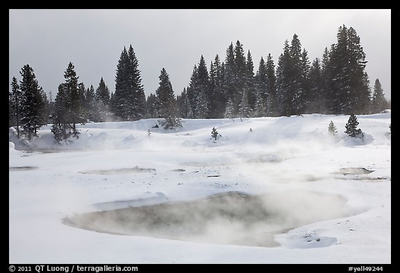 Steam rising from pool in winter, West Thumb. Yellowstone National Park, Wyoming, USA.