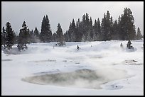 Steam rising from pool in winter, West Thumb. Yellowstone National Park, Wyoming, USA.