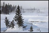 Snow-covered West Thumb thermal basin. Yellowstone National Park, Wyoming, USA.