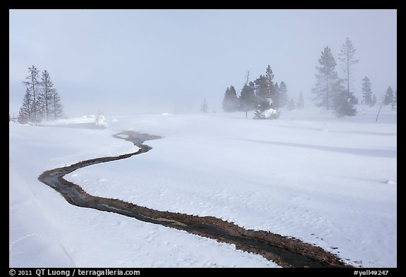 Thermal run-off and snowy landscape. Yellowstone National Park, Wyoming, USA.