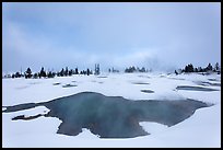 West Thumb Geyser Basin in winter. Yellowstone National Park, Wyoming, USA. (color)